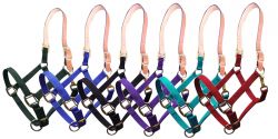 Showman Triple ply nylon halter with leather crown. AVERAGE HORSE 800-1100LBS