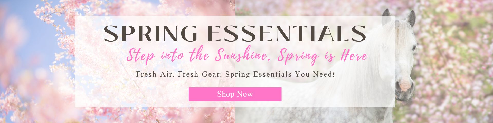 Spring Essentials