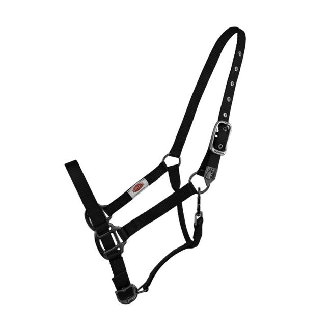 Showman Premium Nylon Halter with Brushed Nickel Hardware #2