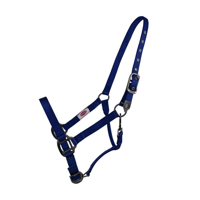 Showman Premium Nylon Halter with Brushed Nickel Hardware #3