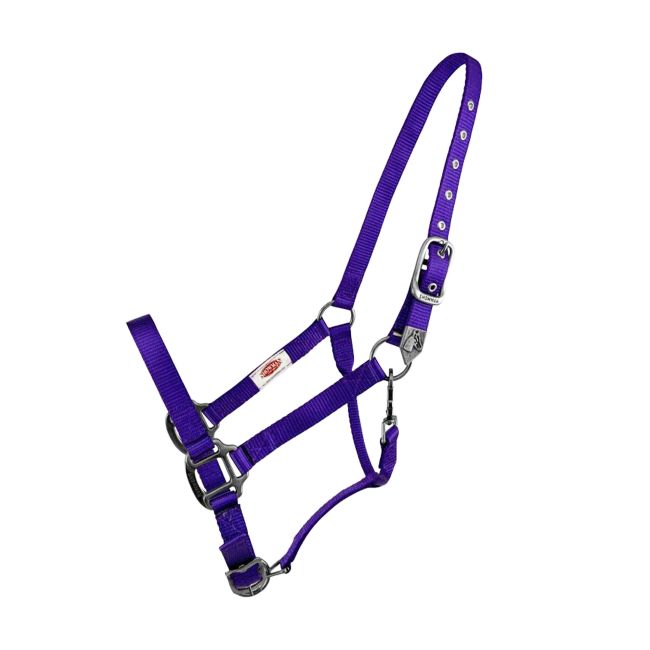 Showman Premium Nylon Halter with Brushed Nickel Hardware #4