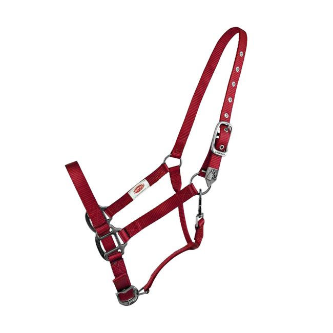 Showman Premium Nylon Halter with Brushed Nickel Hardware #5