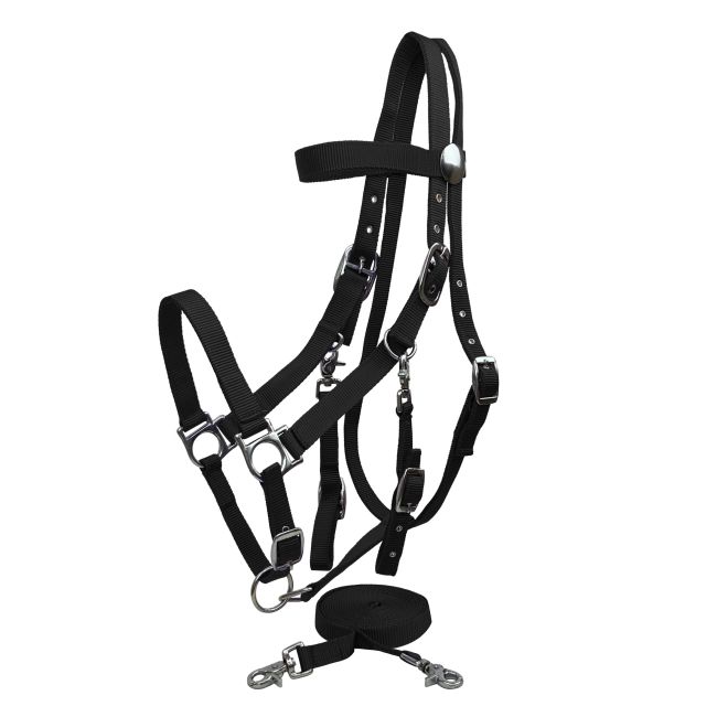 Nylon Combination Halter-Bridle with Reins #2