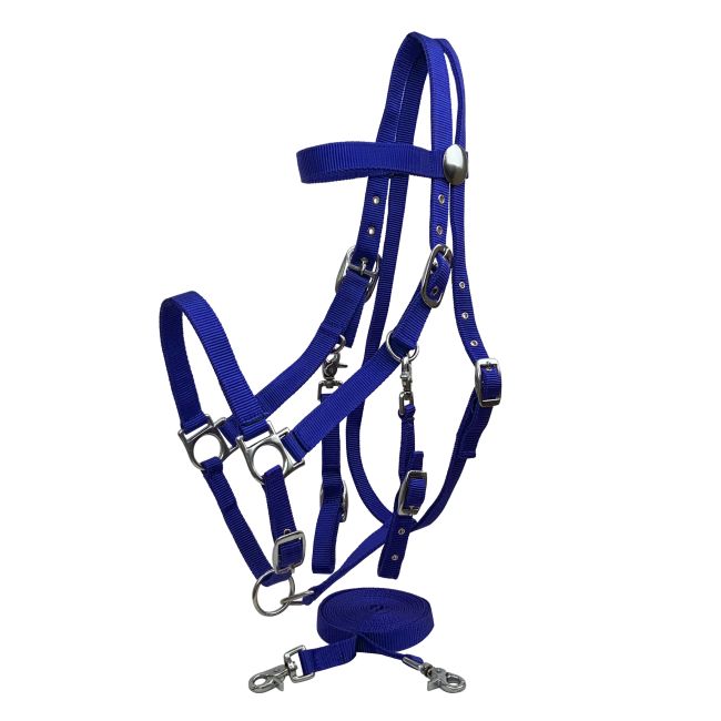 Nylon Combination Halter-Bridle with Reins #3