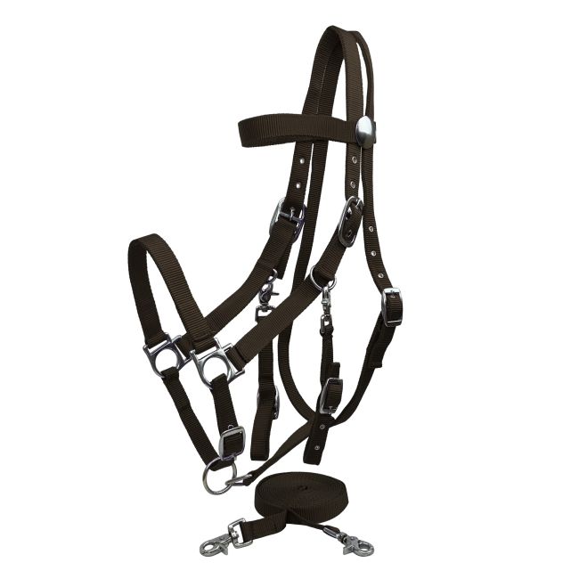 Nylon Combination Halter-Bridle with Reins #4