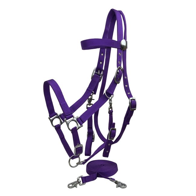 Nylon Combination Halter-Bridle with Reins #6