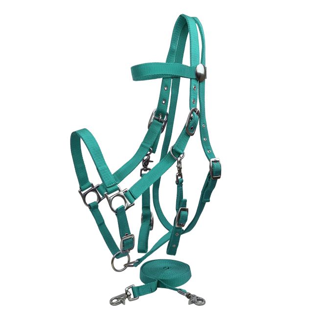 Nylon Combination Halter-Bridle with Reins #8