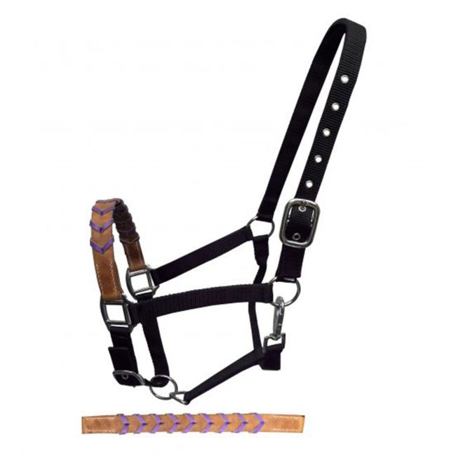 Showman Black Nylon halter with Argentina cow leather braided accent nose #3