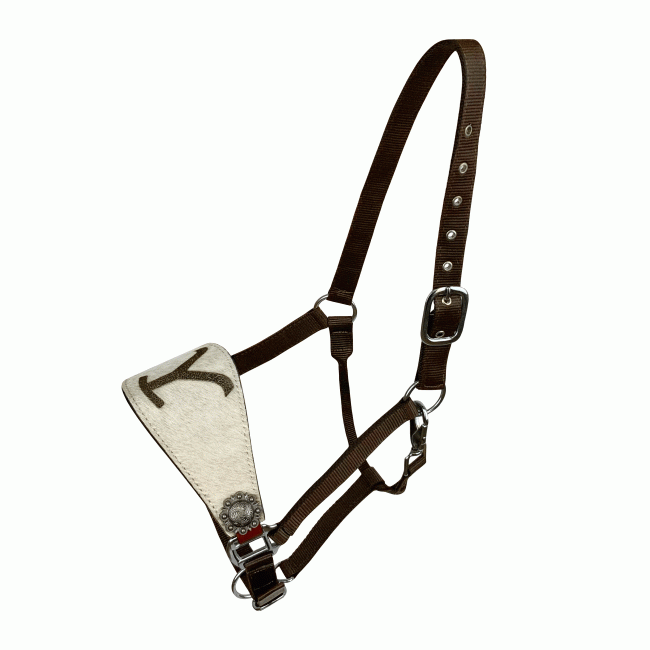 Showman Nylon Bronc Halter with Leather Cowhide 'Y' Brand Nose
