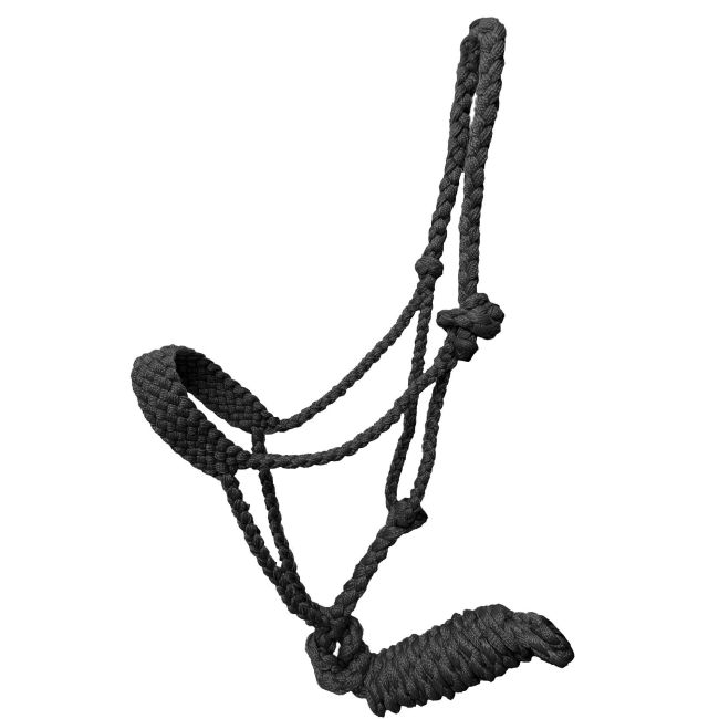 Showman Braided Mule Tape Pony Halter #2