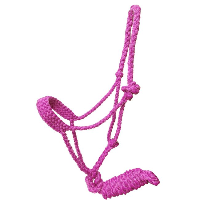 Showman Braided Mule Tape Pony Halter #3