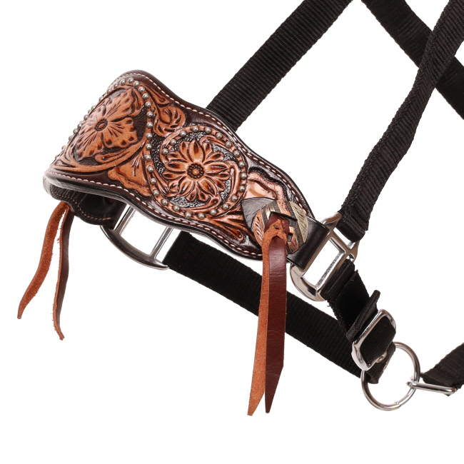 Showman Magnolia Black Nylon Bronc Halter #2