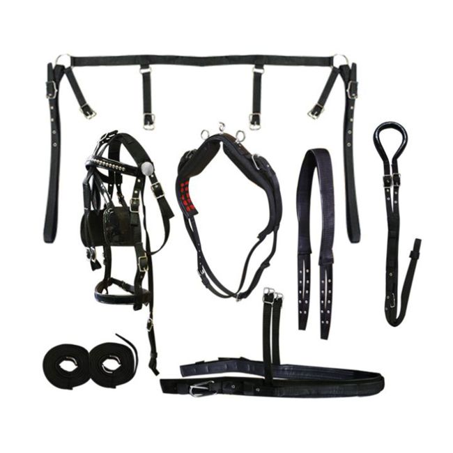 Small Horse &#47; Cob size nylon driving harness