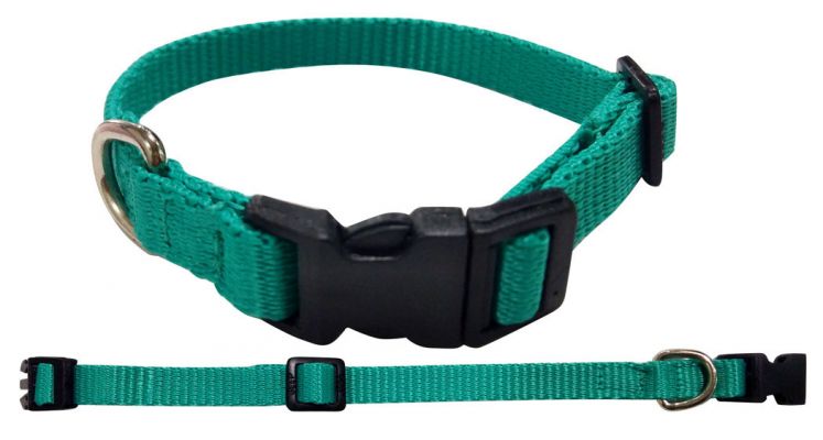 Shiloh Stables and Tack: Showman Couture ® Large Nylon dog collar ...