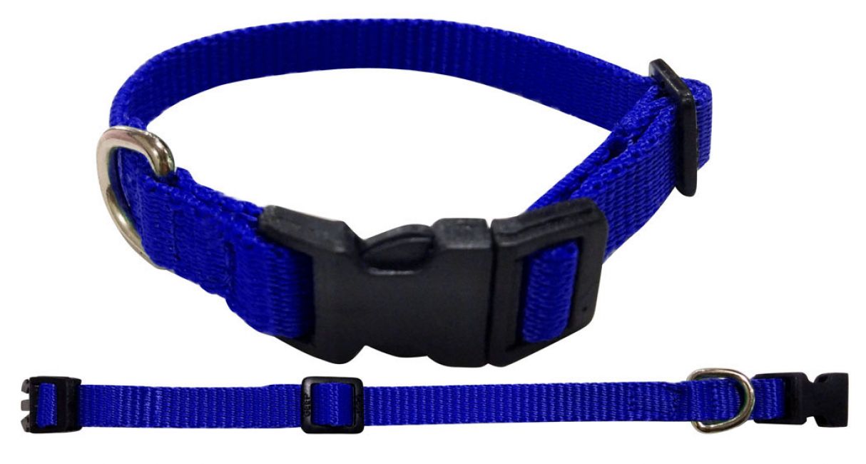 Shiloh Stables and Tack: Showman Couture ® Large Nylon dog collar ...