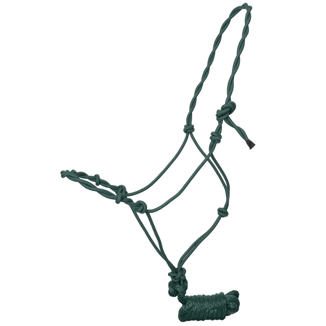 Draft Size Twisted Cowboy Knot Halter with 10 Ft. Lead #3