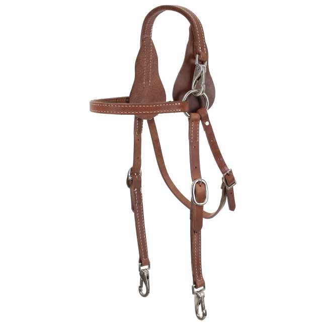 Showman Argentina Cow leather headstall