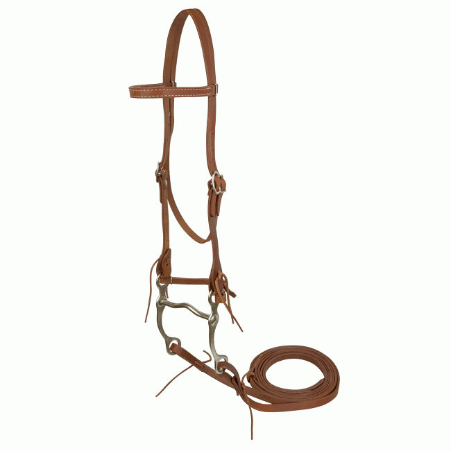 Showman Argentina Cow Leather Browband Headstall with Grazing Bit and 7.5ft Reins