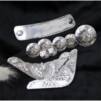 10 piece engraved silver trim kit