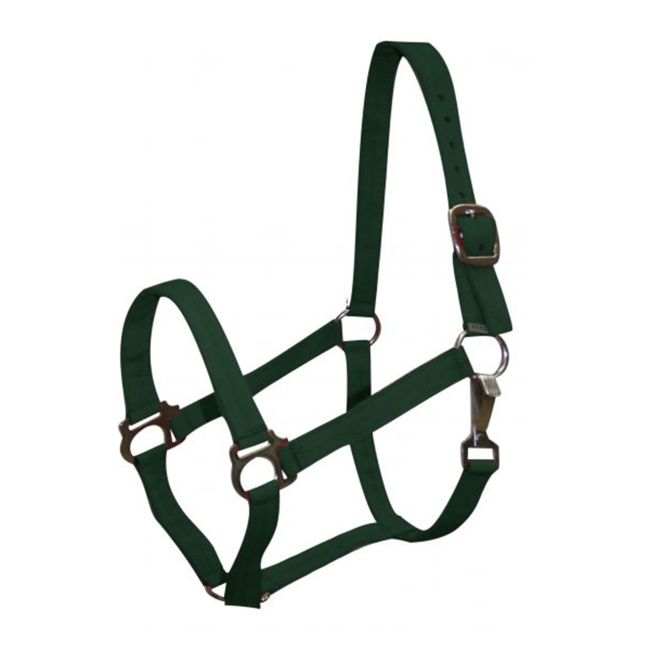 2 Ply Pony Size Halter #3