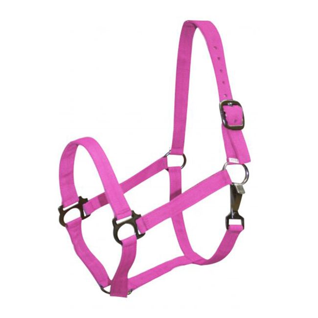 2 Ply Pony Size Halter #4