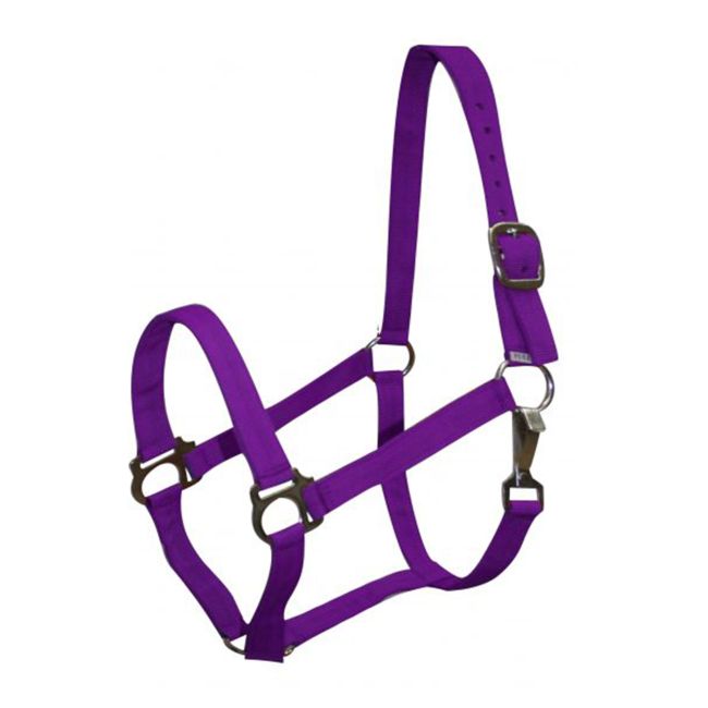 2 Ply Pony Size Halter #5