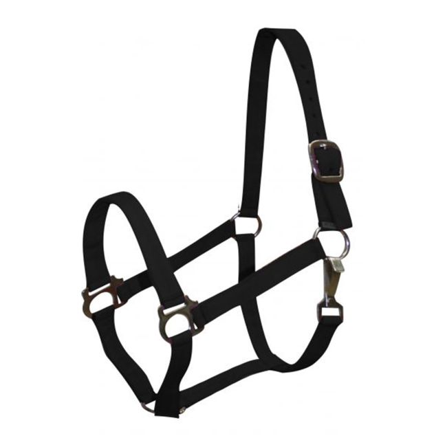 2 Ply Pony Size Halter #2