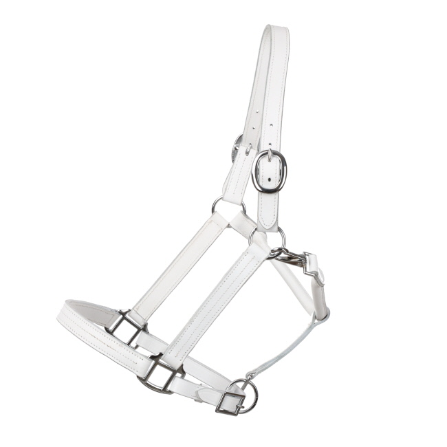 White Average Horse Size Leather Halter