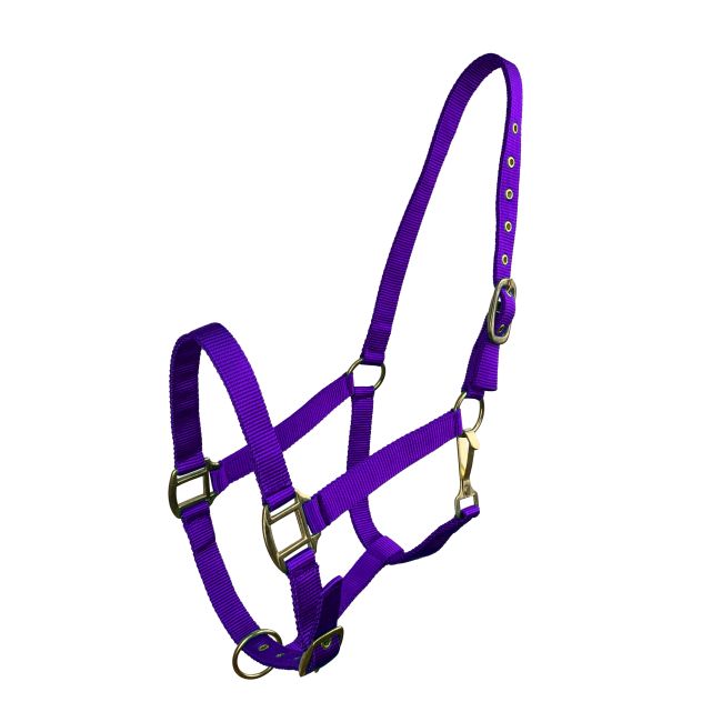 Horse Size Triple Ply Nylon Halter with Brass Hardware #8