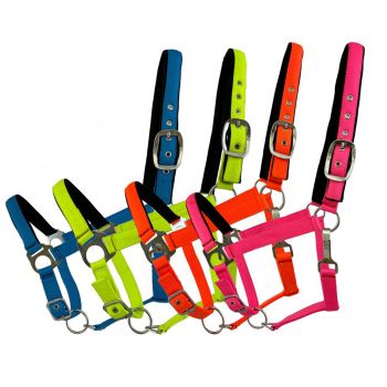 Average Horse Size Nylon Halter in Fluorescent Colors