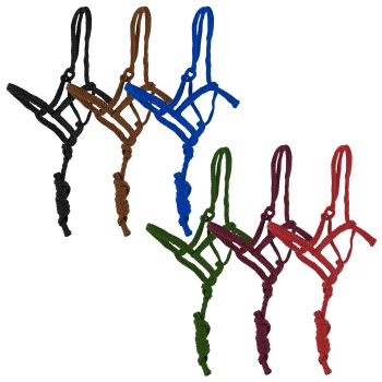 Showman Assorted Shipping Halter with 6 Ft Lead - Pack of 6