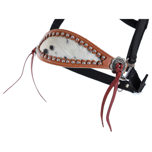 Showman Cowpuncher Black Nylon Bronc Halter #2