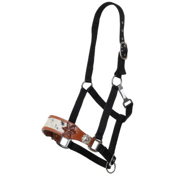 Showman Leather Lilly Black Nylon Bronc Halter