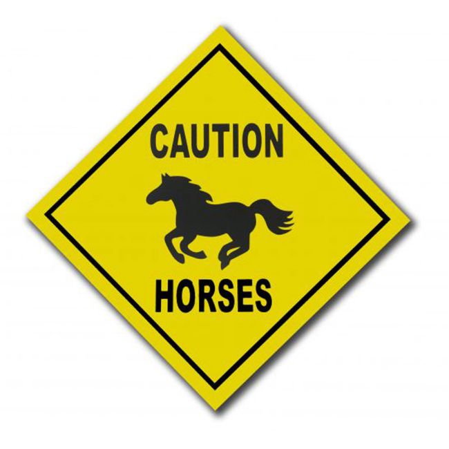 "CAUTION HORSES" 31" sign