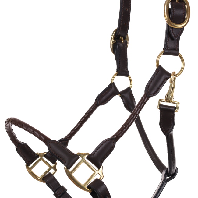 Leather Halter with Braided Nose and Cheeks #2