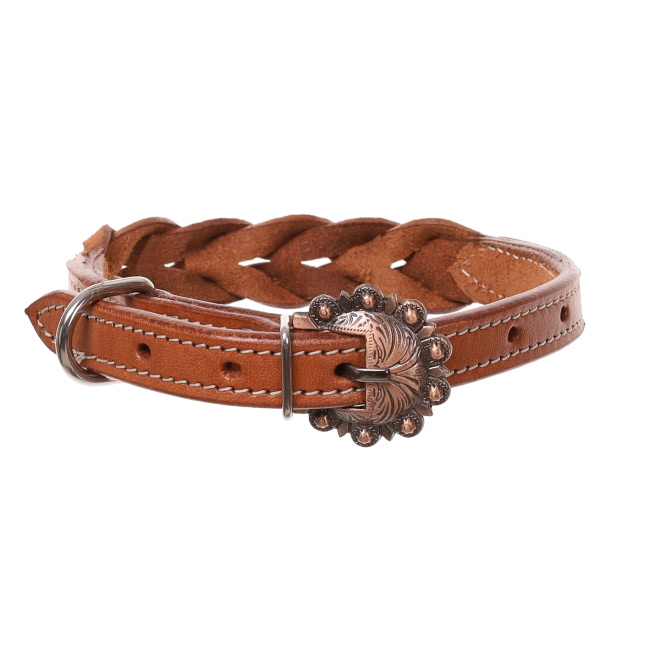 Showman Twist Braid Leather Dog Collar #3