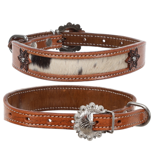 Showman Leather Lilly Dog Collar