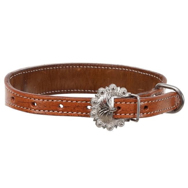 Showman Leather Lilly Dog Collar #3