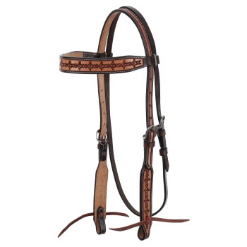 Showman Dark Brown and Medium Argentina cow leather headstall with Barbwire Tooling