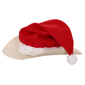 Santa Hat Cover